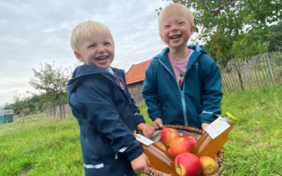 Verkauf von heurigem Apfelsaft