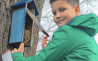 Reinigung der Nistkästen