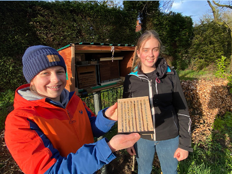 Schulprojekt Bienennester