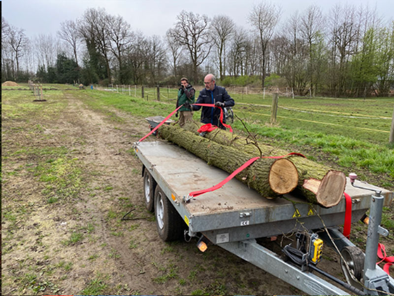 Eichenstamm für unser Gatter