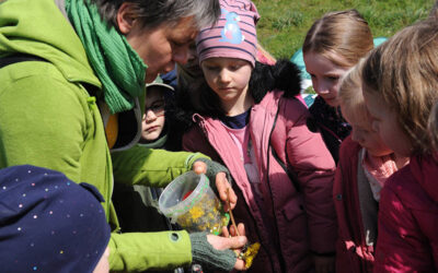 Kinder entdecken Kräuter