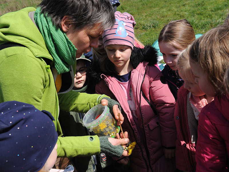 Kinder entdecken Kräuter