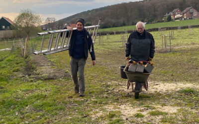 “Frühjahrsputz”