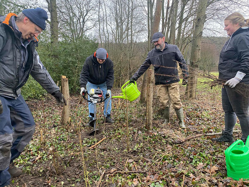 Vogelschutzhecke pflanzen
