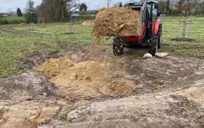 Sand fürs Sandarium