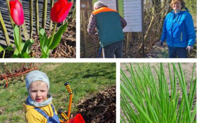 Frühlingserwachen im Lehrgarten