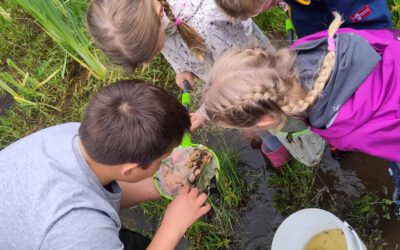 Wasser-Workshop