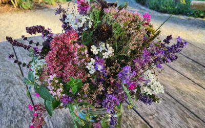 Bunte Blumenpracht